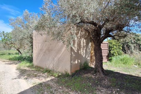 Finca i Mora D'ebre, Tarragona, Mora D'ebre - € 159.000 | Ref: CC840 - foto 23